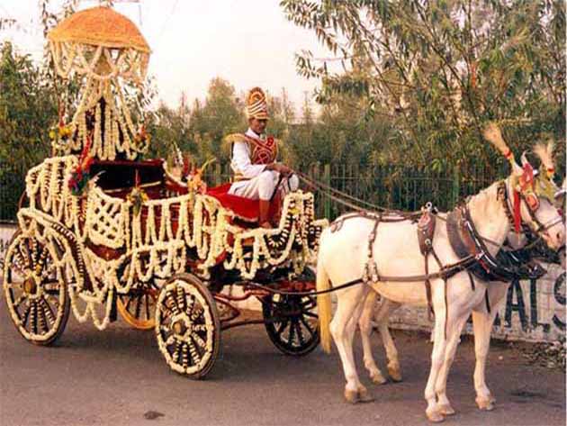 Best Wedding Baggi